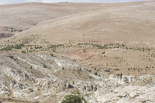 Yamaçtan vadiye ve yerleşime bakış